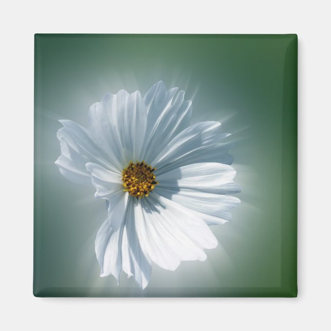 Imán blanco resplandeciente (Frente)