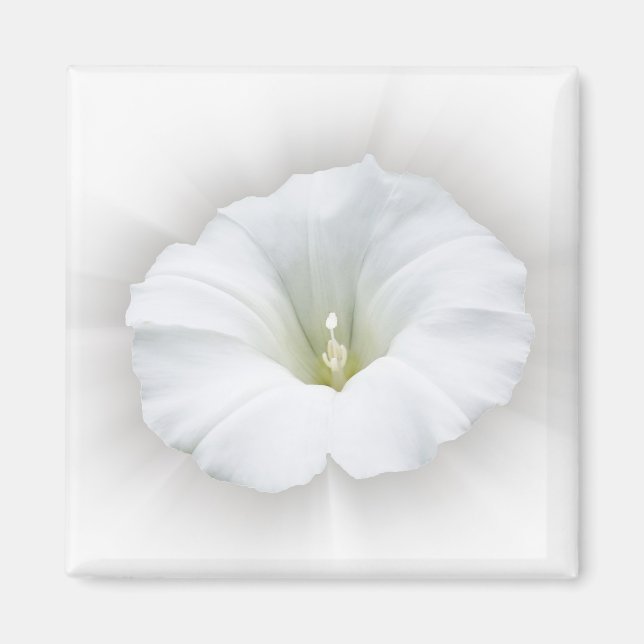 Imán blanco y tonos grises (Frente)