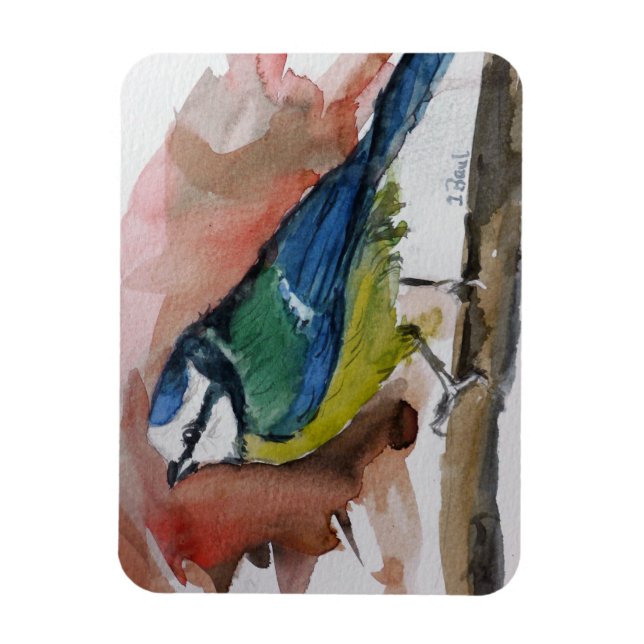 Imán Blaumeise (Vertical)