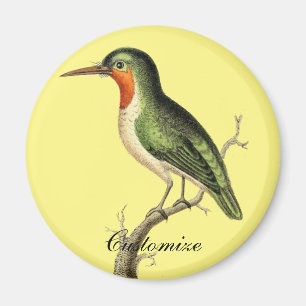 Imán Blazing Sun Thunder_Cove