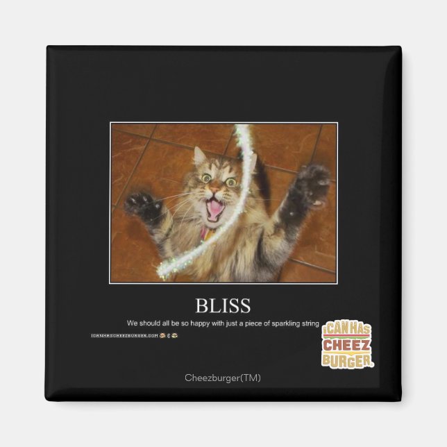 Imán Bliss (Frente)