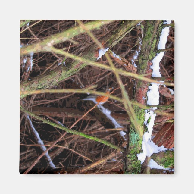 Imán Blizzard Bird CB (Frente)