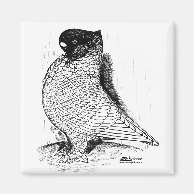 Imán Blondinette Pigeon Laces 1978 (Frente)