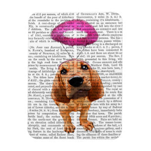 Imán Bloodhound Con Halo Angélico Rosa