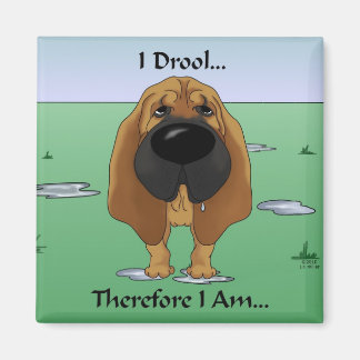 Imán Bloodhound - Me Drool... Por Lo Tanto Soy...