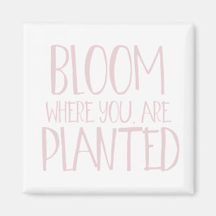 Imán Bloom donde te plantan