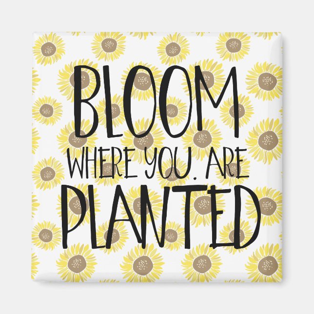 Imán Bloom donde te plantan (Frente)