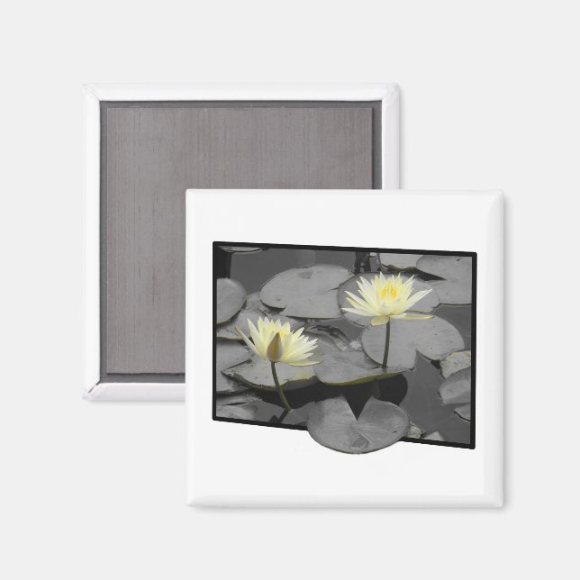 Imán Bloom más allá del marco (Anverso/Reverso)