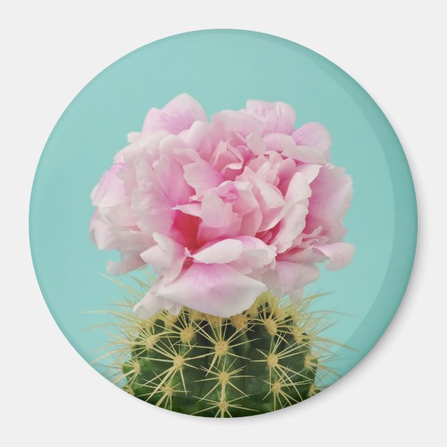 Imán Bloom rosa por encima de Cactus Spiky (Frente)