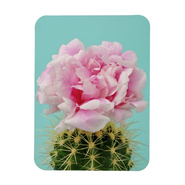 Imán Bloom rosa por encima de Cactus Spiky (Vertical)