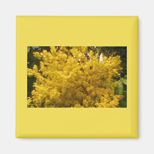 Imán Blooming Pollen