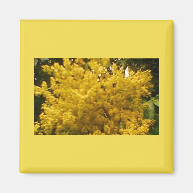 Imán Blooming Pollen (Frente)