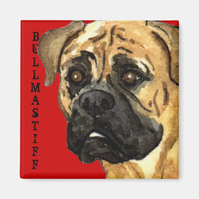 Imán Bloque de color Bullmastiff (Frente)