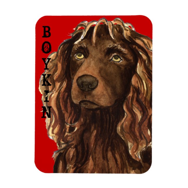 Imán Bloque de color de Boykin Spaniel (Vertical)