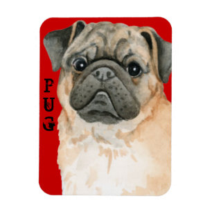 Imán Bloque de color Pug
