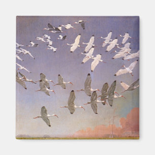 Imán Bloque de Ibis volando sobre humedales, aves vitíc