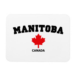 Imán Bloque de Manitoba