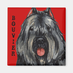 Imán Bloque del color de Bouvier