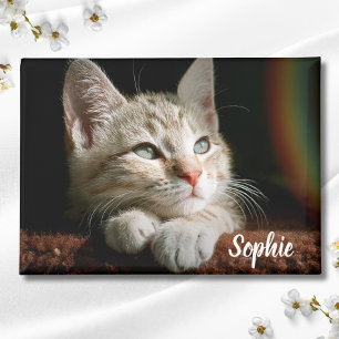 Imán Bloque fotográfico mascota