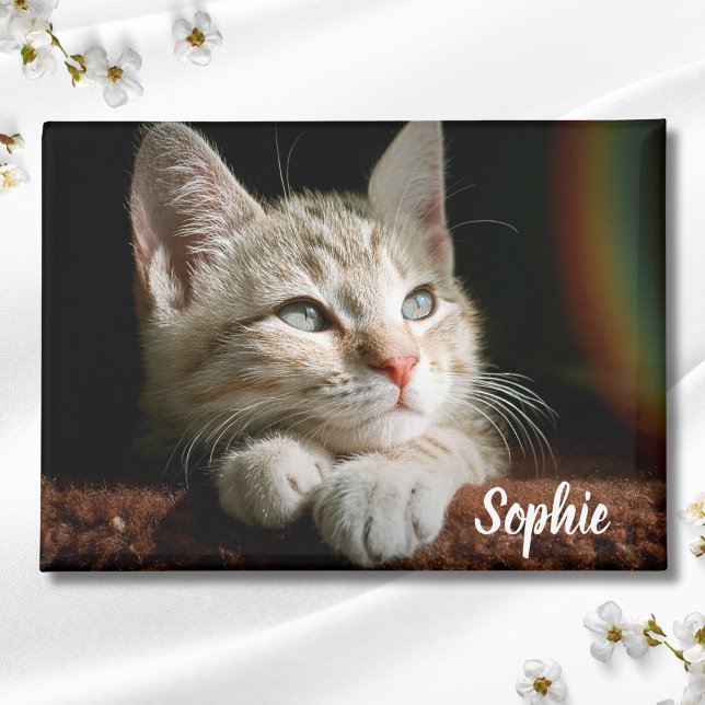 Imán Bloque fotográfico mascota (Cat Photo Magnet)