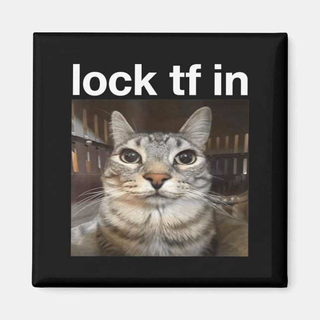 Imán Bloquear TF en Meme de gato (Frente)