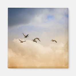 Imán Bloqueo de aves en vuelo