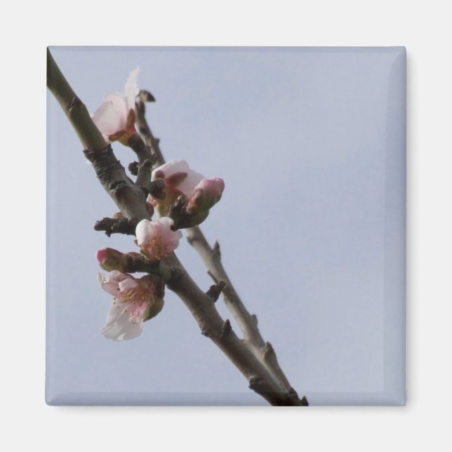 Imán Blossom Magnet (Frente)