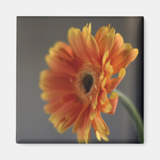 Imán Blossom Magnet