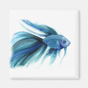 Imán Blue Betta Fish