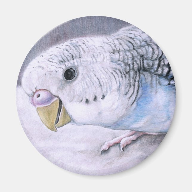 Imán "Blue Budgie" Bird Art Magnet (Frente)