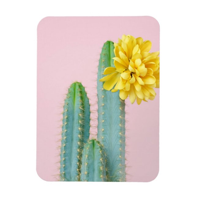 Imán Blue Cactus Trio (Vertical)