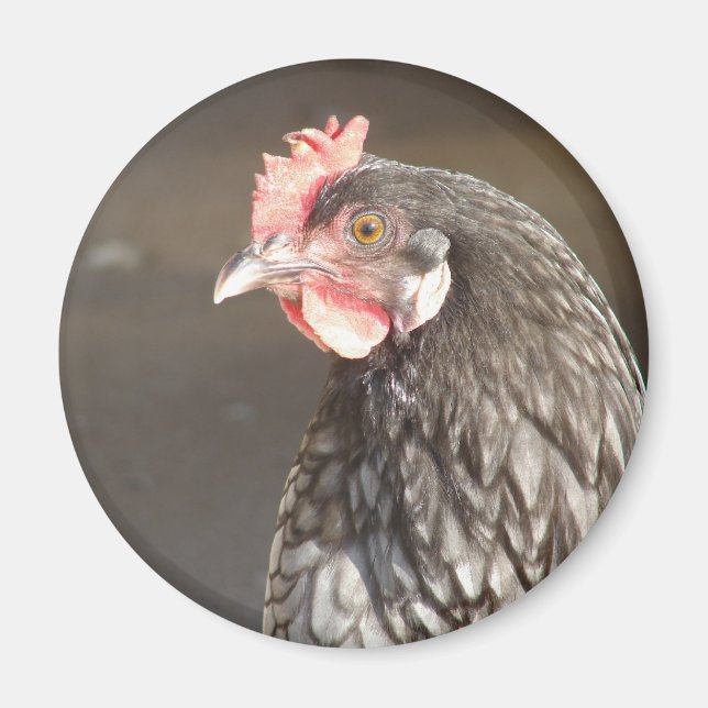 Imán Blue Hen (Frente)