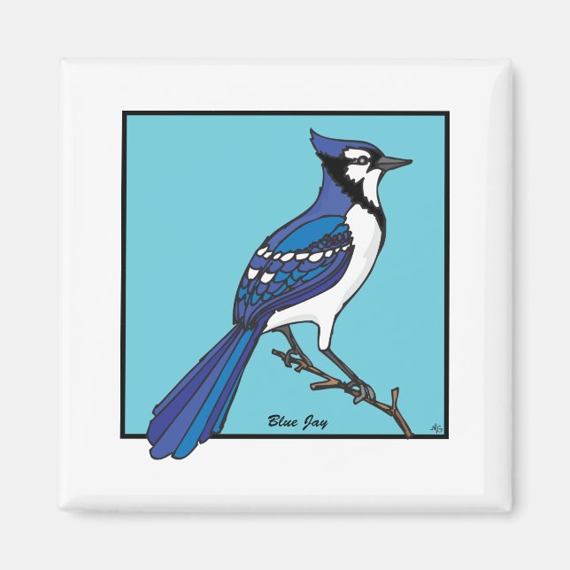 IMÁN BLUE JAY (Frente)