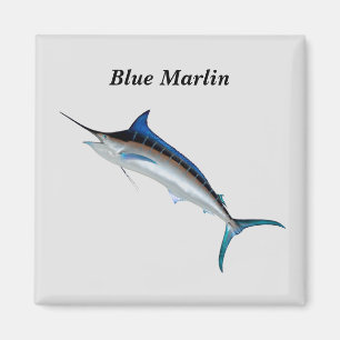 imán Blue Marlin