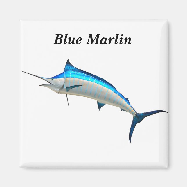 Imán Blue Marlin Game Fish (Frente)