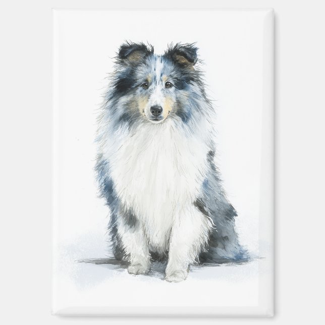 Imán BLUE MERLE Shetland Sheepdog Watercolor Art (Anverso)