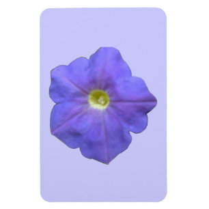 Imán Blue Petunia Premium