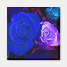 Imán Blue Purple Roses Magnet - Customizable