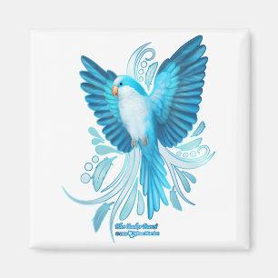 Imán Blue Quaker Parrot