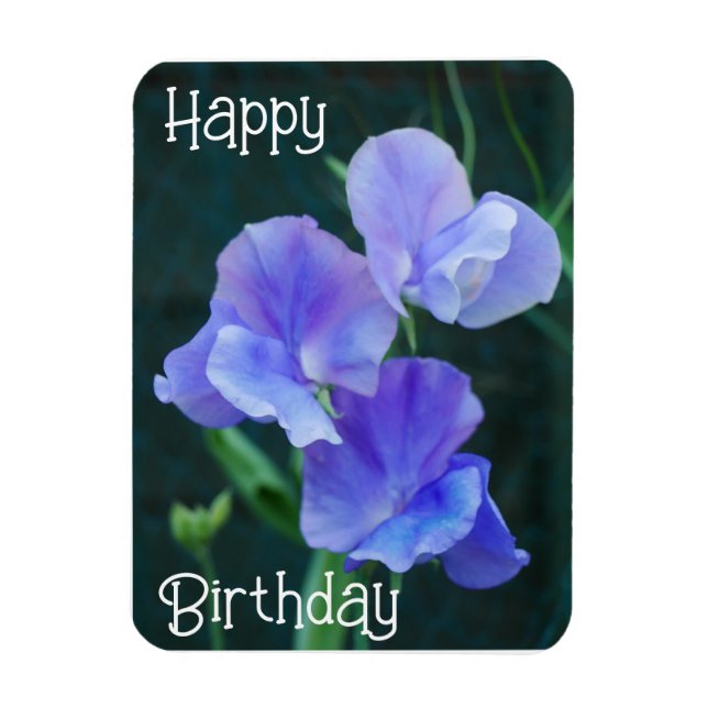 Imán Blue Sweet Pea Flowers Birthday Magnet (Vertical)