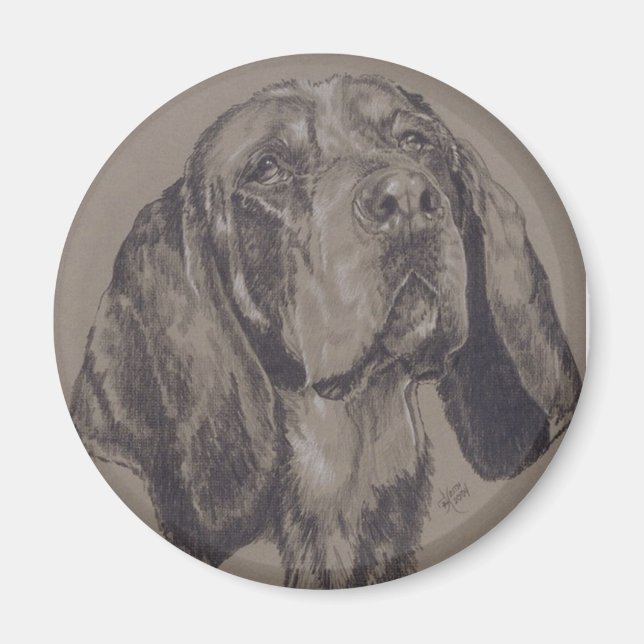 Imán Blue Tick Coonhound (Frente)