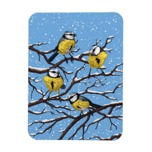 Imán Blue tit birds in winter