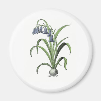 Imán Bluebell