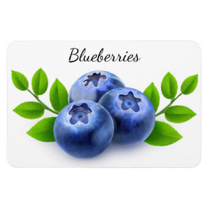 Imán Blueberries