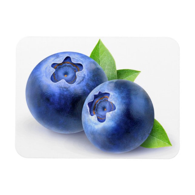 Imán Blueberries (Horizontal)