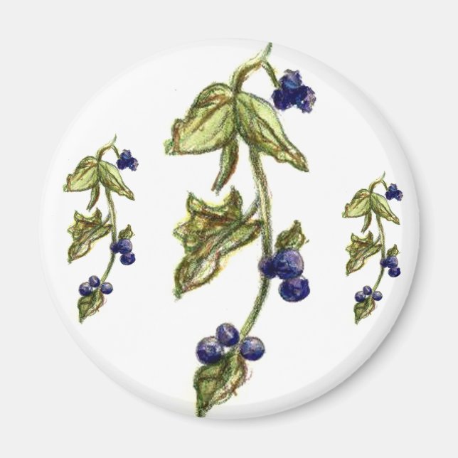 Imán Blueberries En El Magnet Vine (Frente)