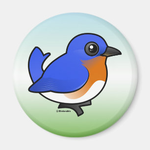 Imán Bluebird del este lindo