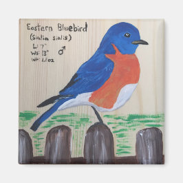 Imán Bluebird Magnet