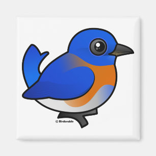 Imán Bluebird occidental del dibujo animado