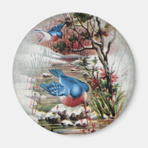 Imán Bluebirds en navidad del vintage del invierno